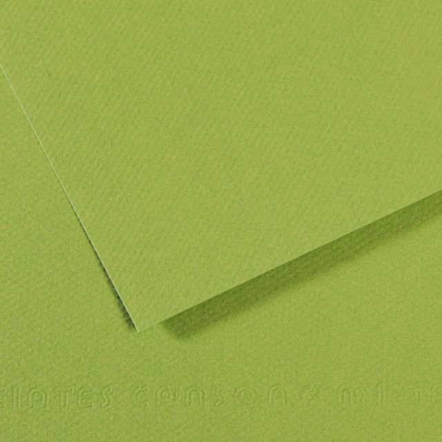 MI-TEINTES 475 GREEN 8.5X11