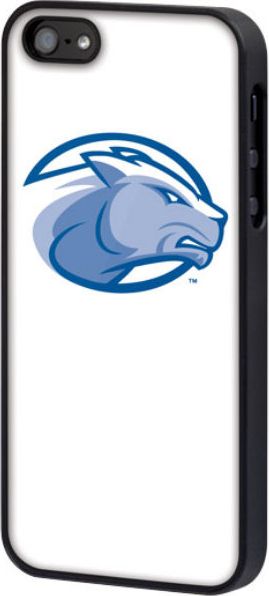 CASE IPHONE 5/5S Wheaton College