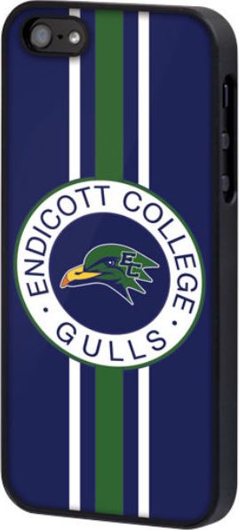 CASE IPHONE 5/5S STRIPE Endicott College