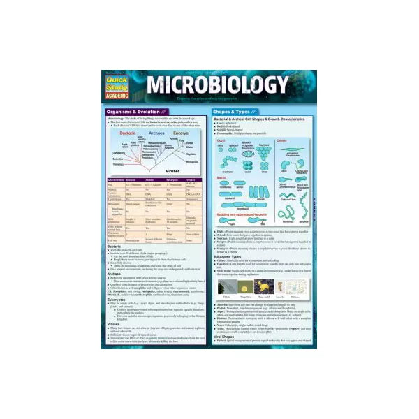 MICROBIOLOGY