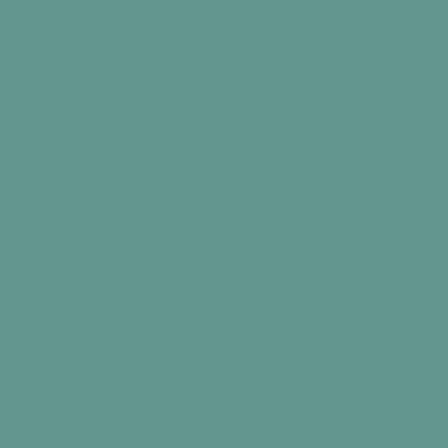 MI-TEINTES 190 SAGE GREEN 19X25 - In Store Only