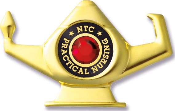 NTC LPN PN Nursing Pin Practical Nurse