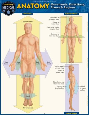 Anatomy - Directions  Planes  Movements & Regions - 1st Edition